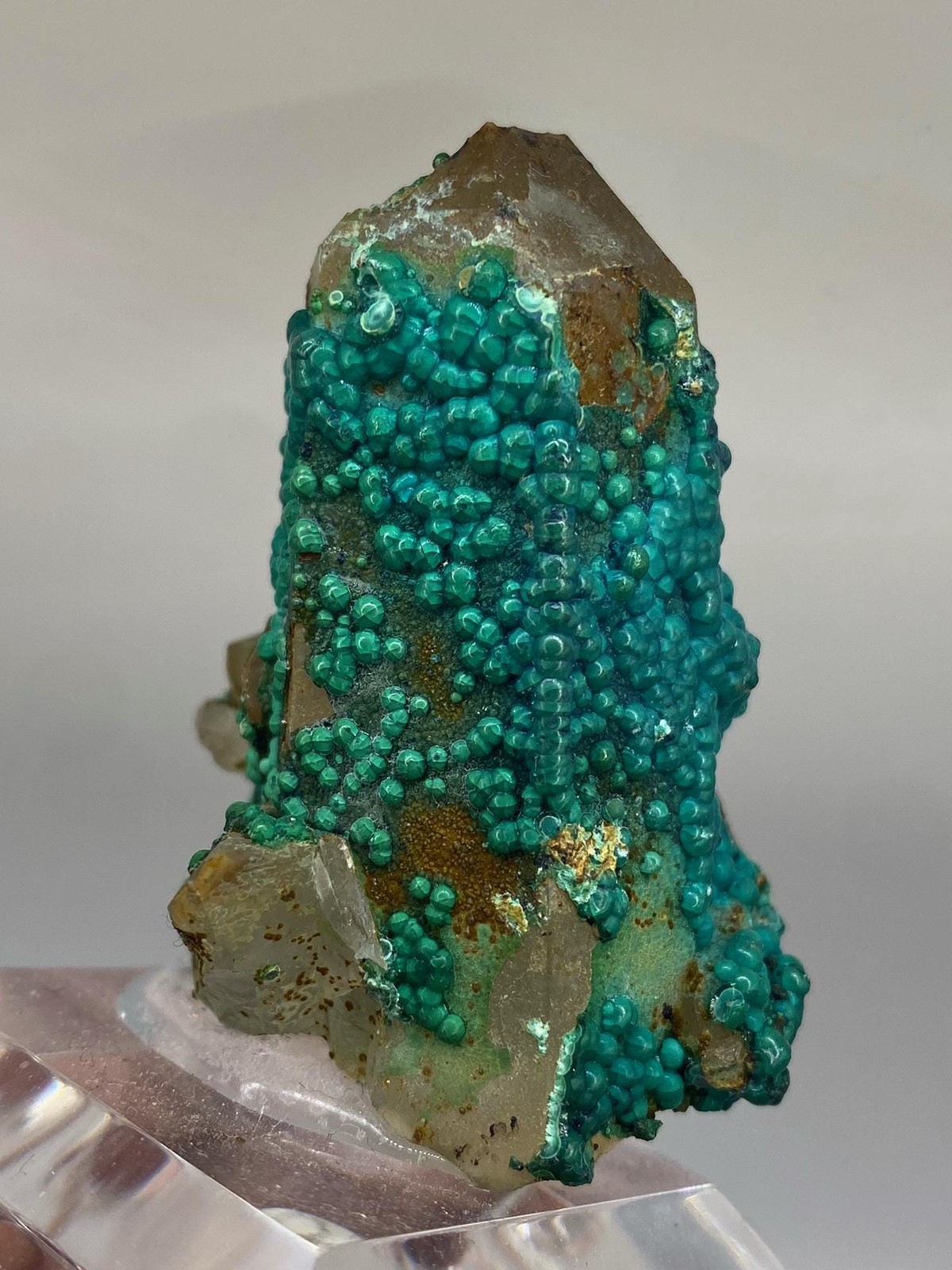 Botryoidal Chrysocolla on Quartz! Tentadora Mine Peru! See video!