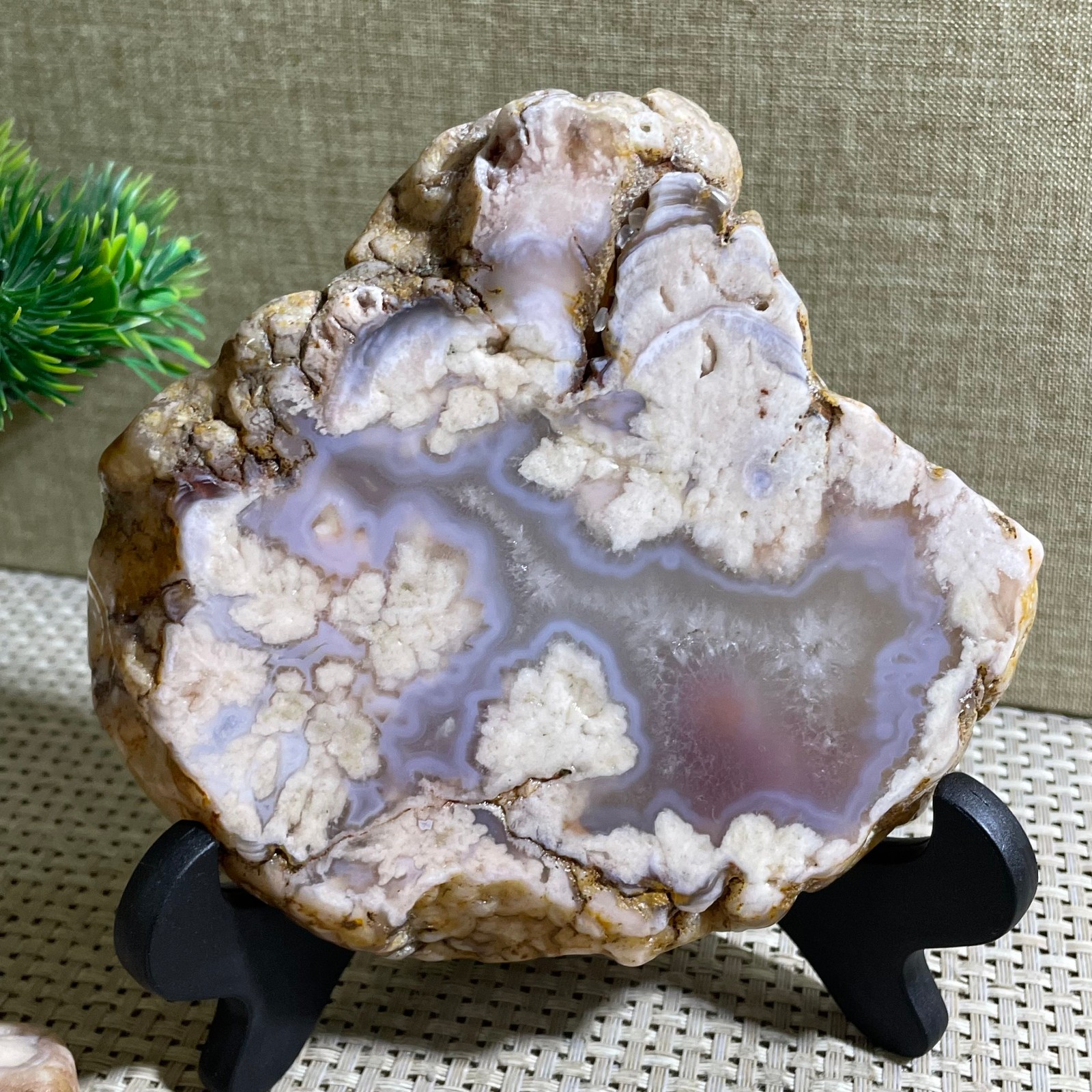 482g atural Sakura Agate Blossom Facet Rough Specimen Madagascar