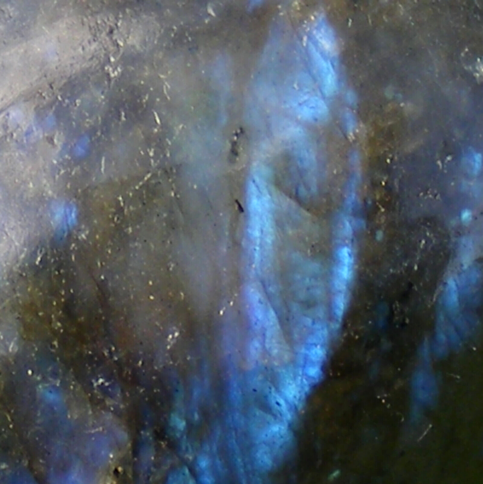 Labradorite Egg Polished Natural Iridescent Blue Flash Gemstone Easter Gift