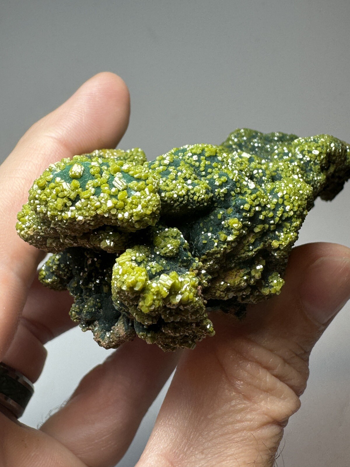 RARE Pyromorphite on Malachite Crystal – Rum Jungle Australia Mineral Specimen