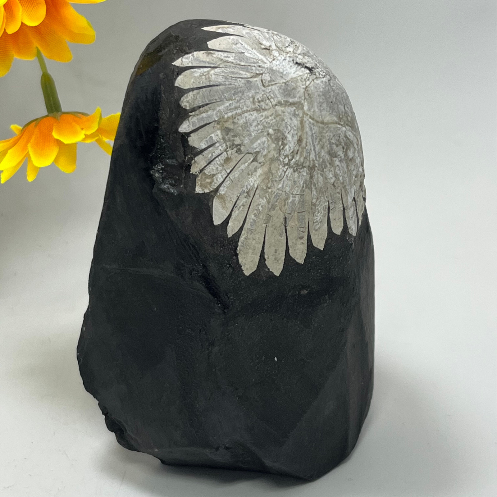 454G Natural chrysanthemum stone Crystal quartz carving aura Specimen healing