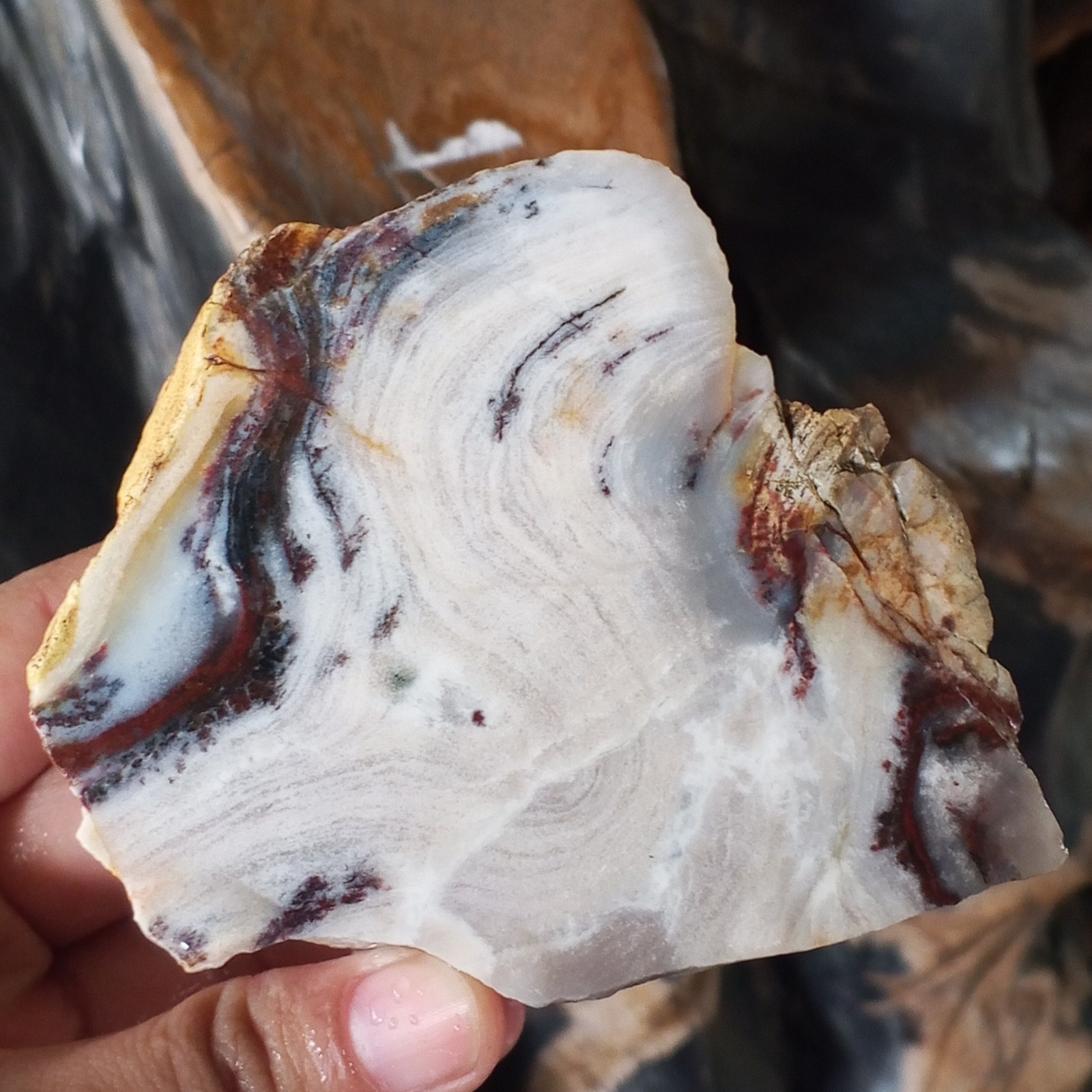 AMAZING RARE !! Slice Natural Japer Chalcedony, Jasper Polished Slab 249gr