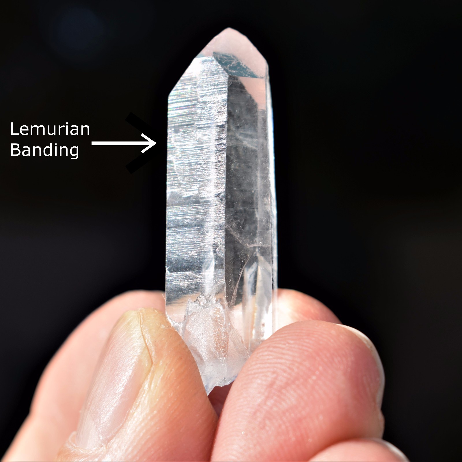 Colombian Lemurian Seed Quartz Point Pendant + 20″ Stainless Steel Chain