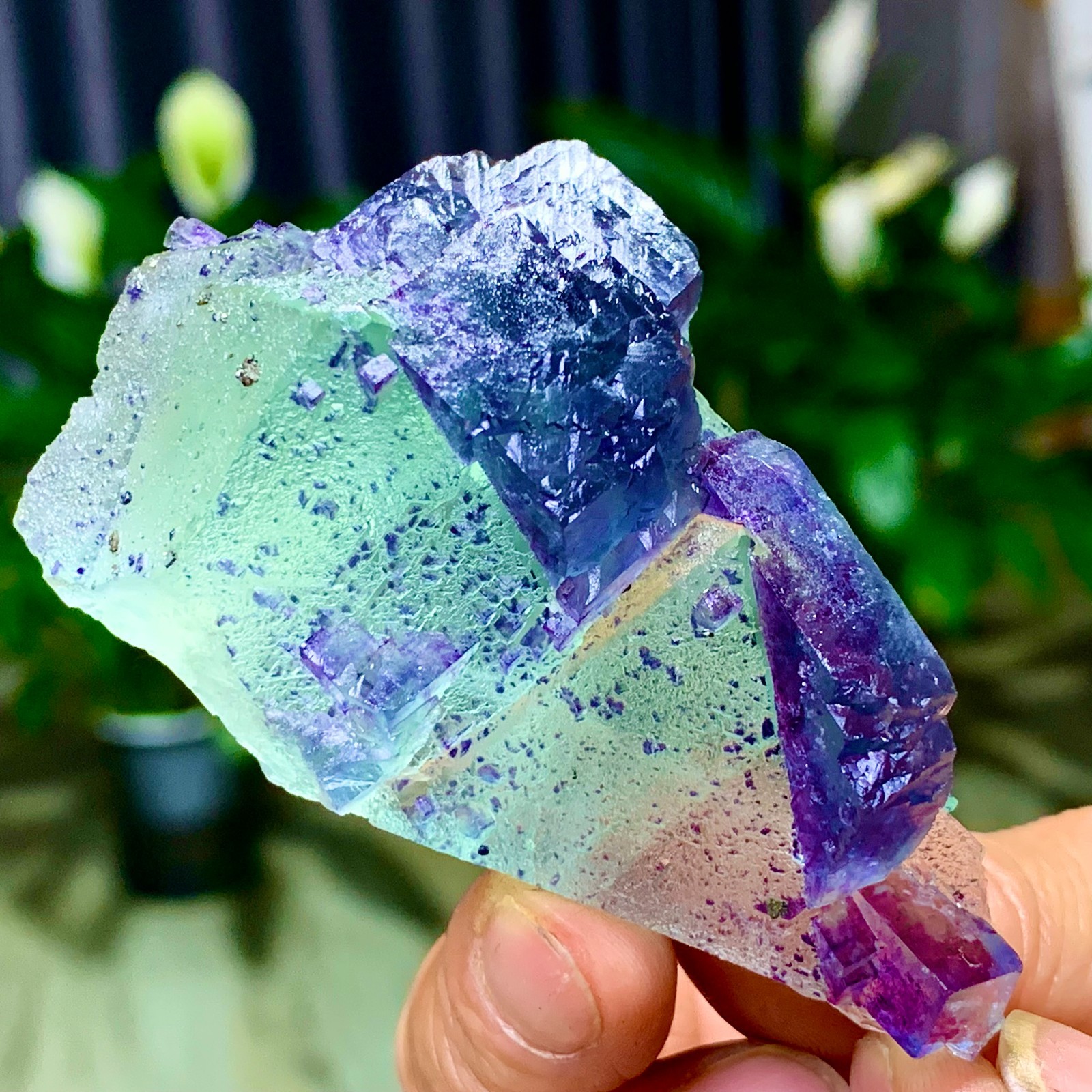 86G Rare transparent green purple cubic Zhejiang fluorite mineral sample