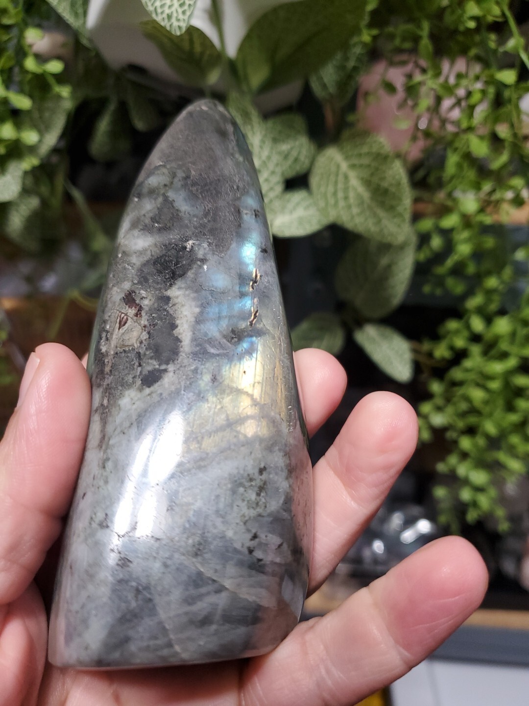 Labradorite Freeform Crystal, Yellow Flashes Decor 390g