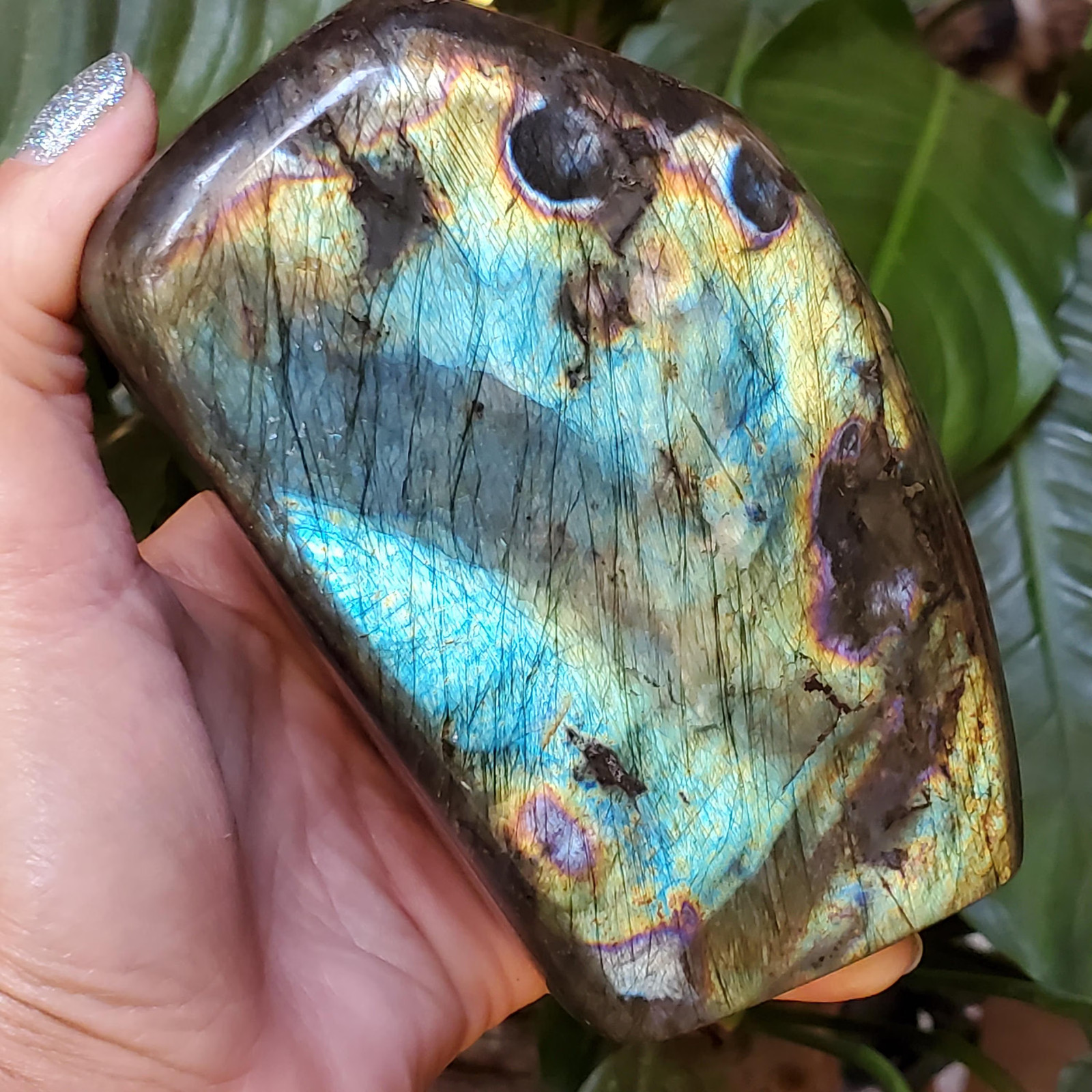 Labradorite Spectrolite Blue & Yellow Flash Crystal Slab Freeform 952 grams