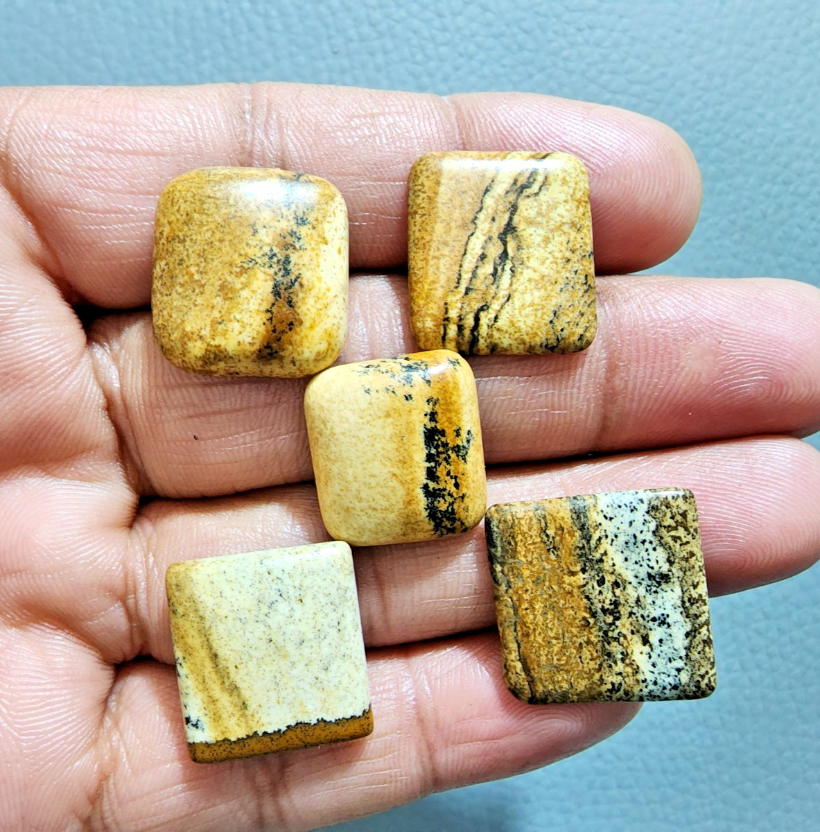 Wonderful Picture Jasper Cabochons 5 Pcs Lot Polished Stone Jewelry Making Lot