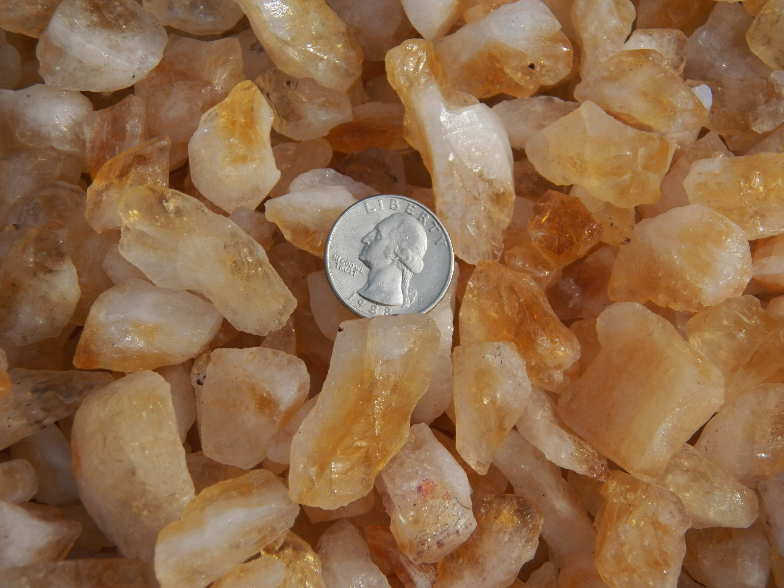 500 Carat Lots of Citrine Points Rough – Plus a FREE Faceted Gemstone