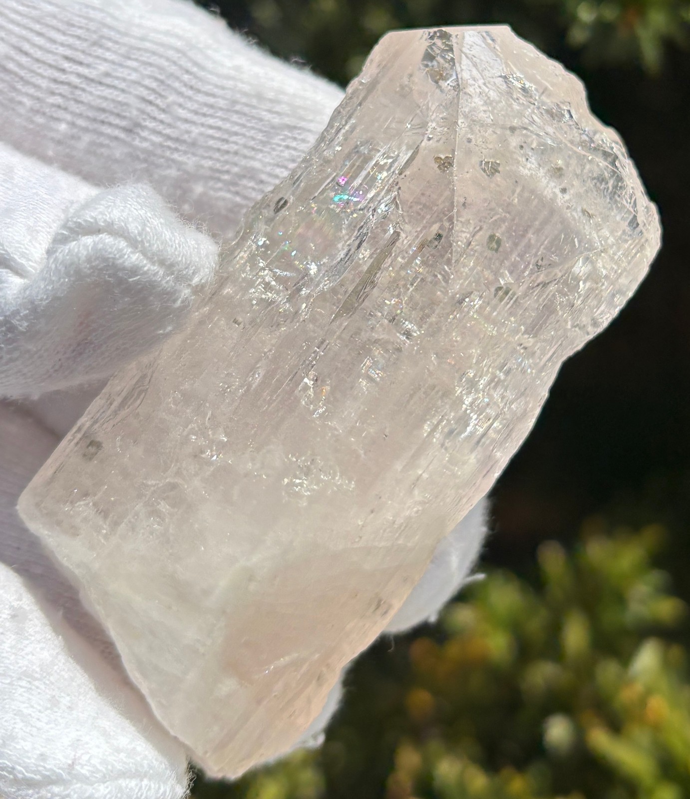 USA SALE *SEE VIDEO* 50g 2.5″ DANBURITE CRYSTAL SPECIMEN CLEAR CLARITY ETCHED