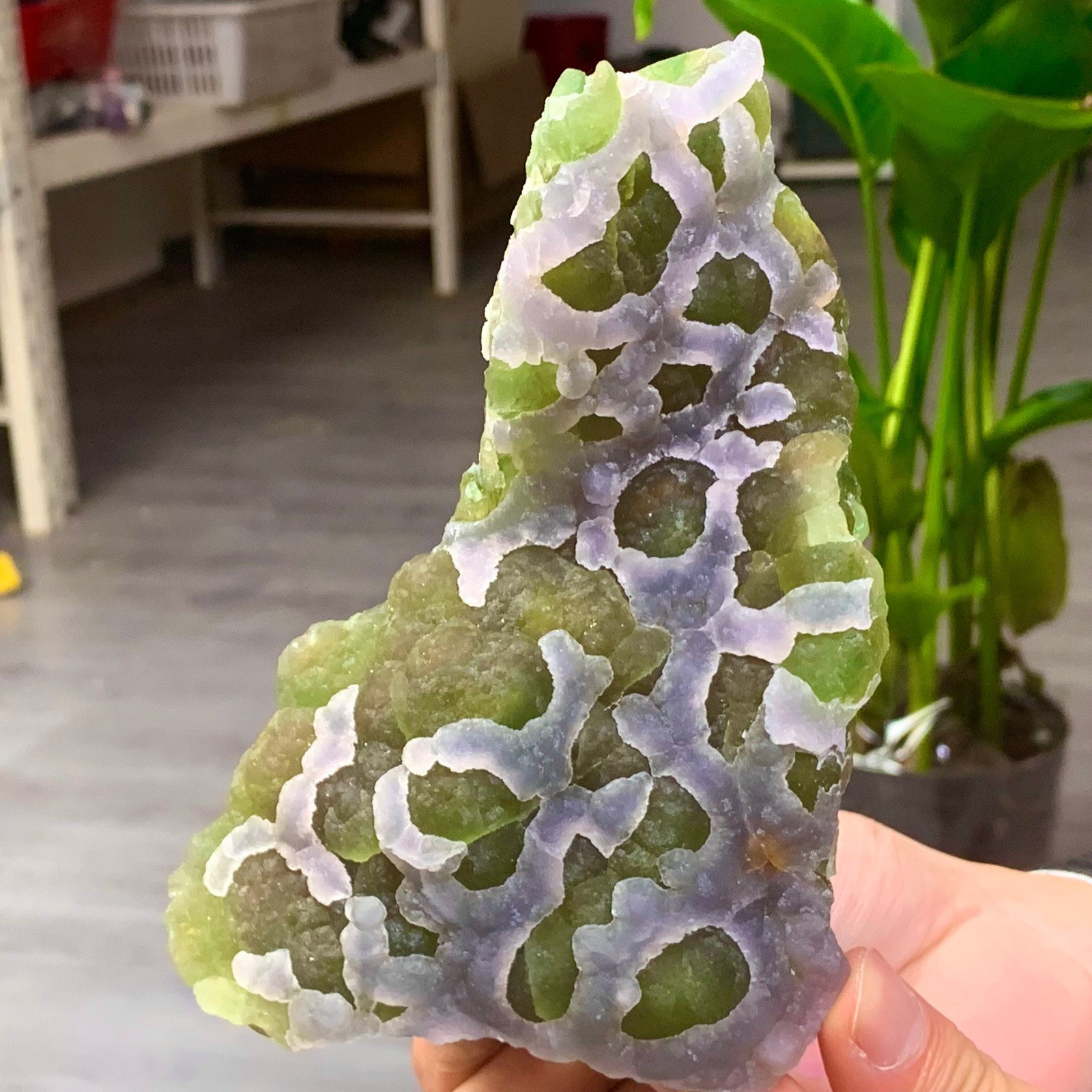 1.57LB Natural Fluorite Green-white dual color crystal mineral Specimen,Zhejiang