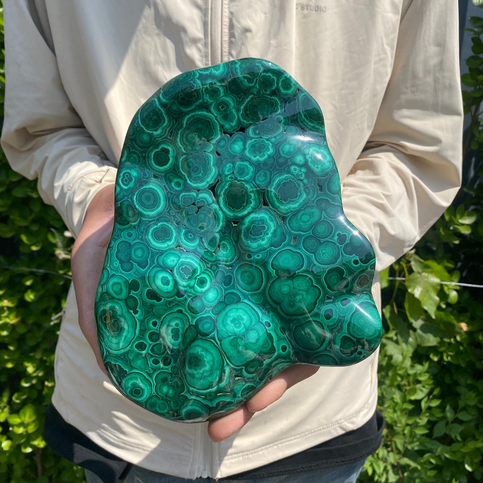 7.27LB Natural glossy Malachite transparent cluster rough mineral sample