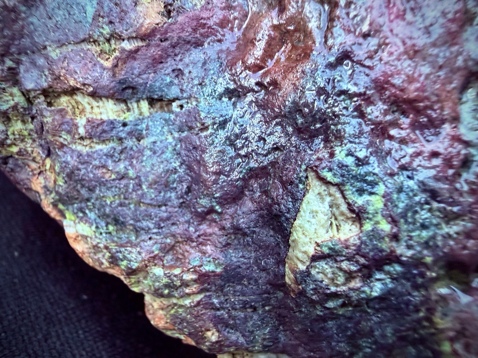 “The Alchemist” – Large Natural Multi-Color Jasper Display Stone | One-of-a-Kind