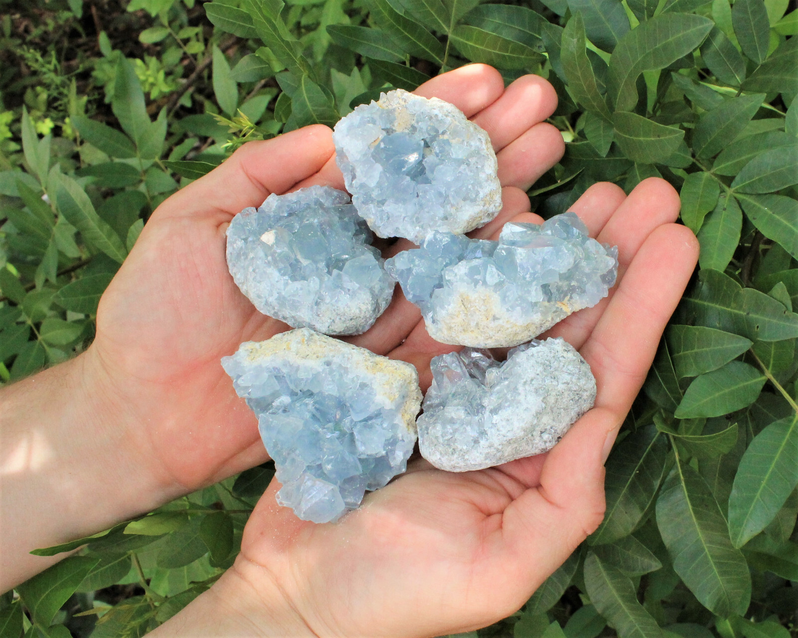 Celestite Crystal Cluster – High Quality Celestite Geodes (Blue Celestite Druze)
