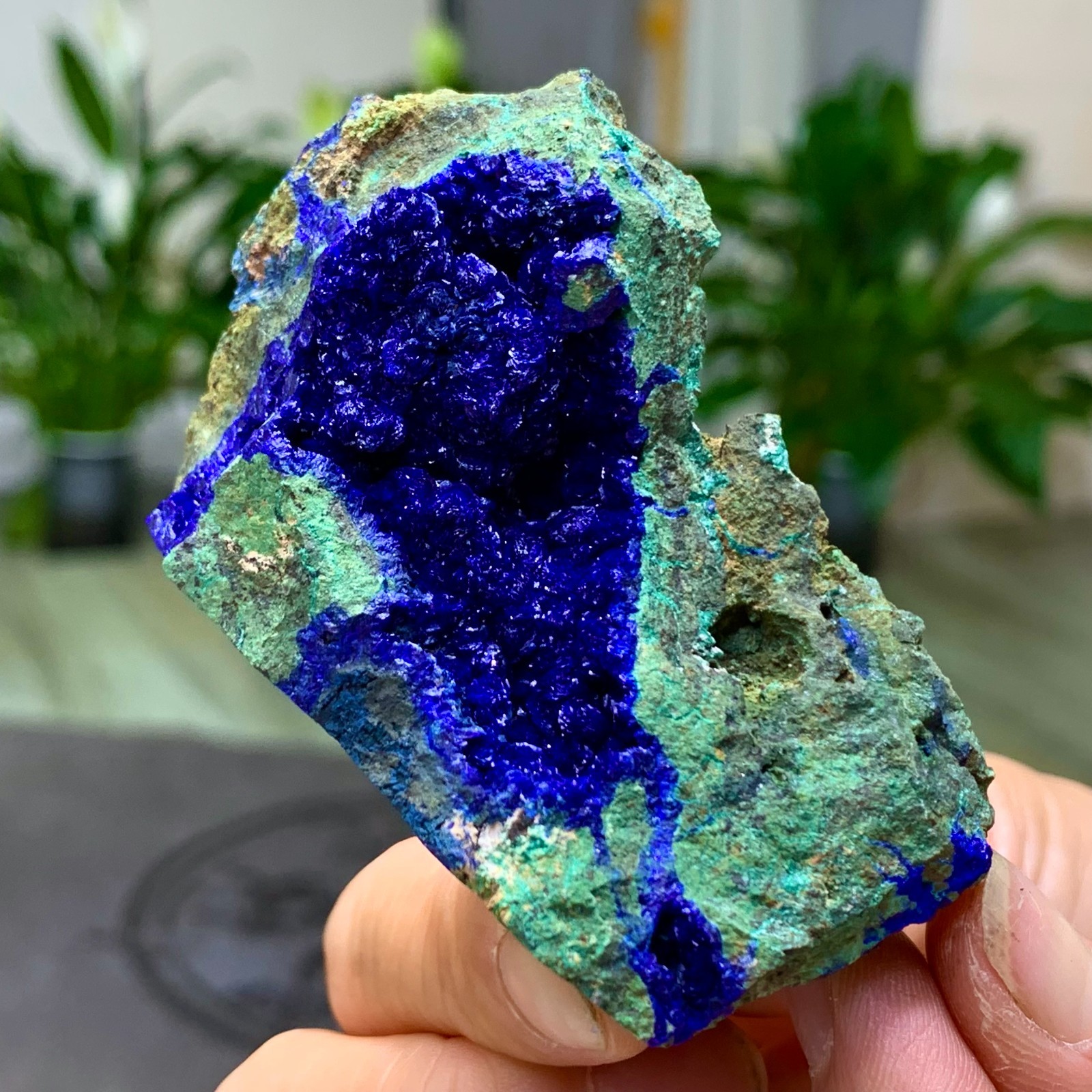 101G BEST Natural Azurite/Malachite crystal minerals specimens