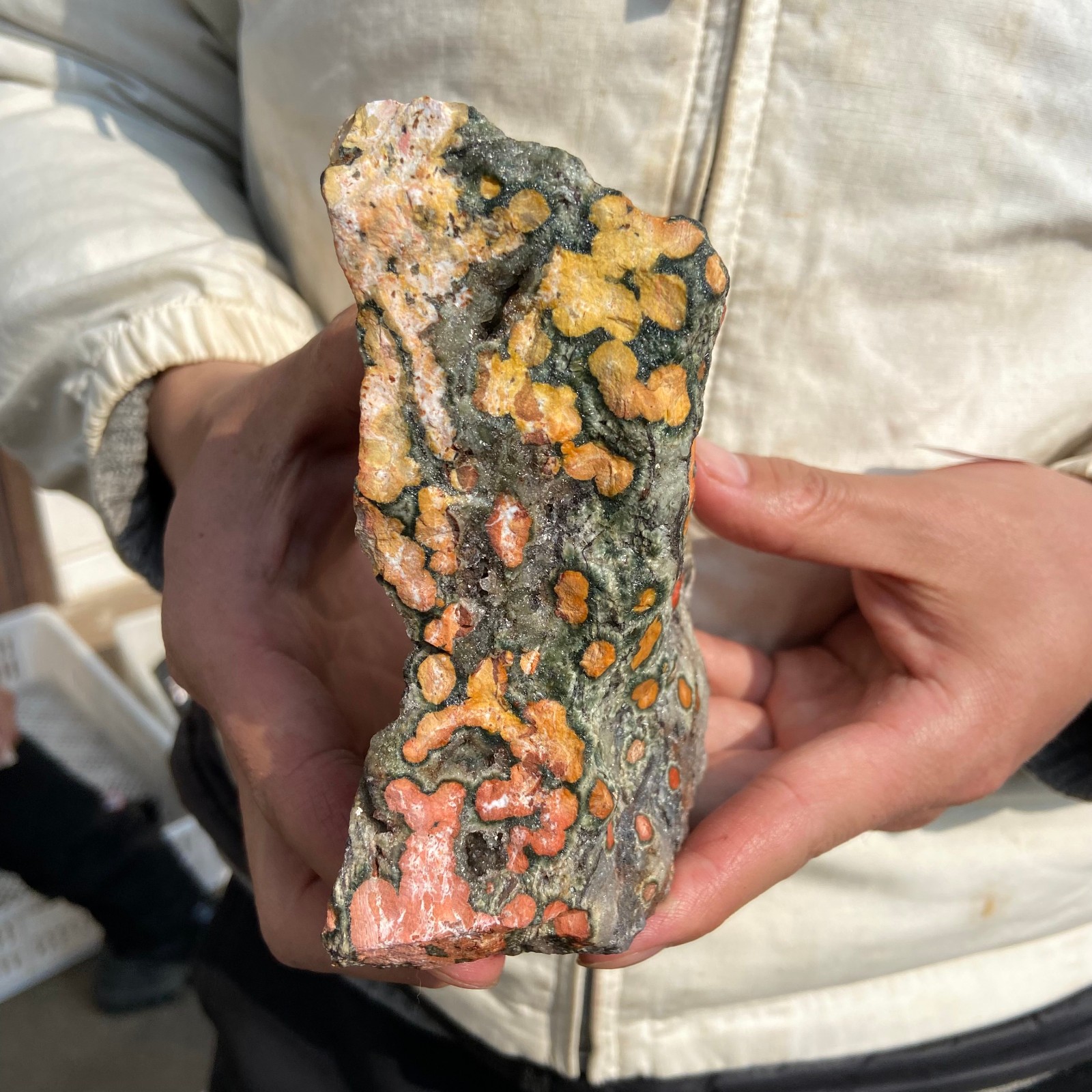 2.2lb Natural colourful ocean jasper raw stone crystal rough mineral specimen