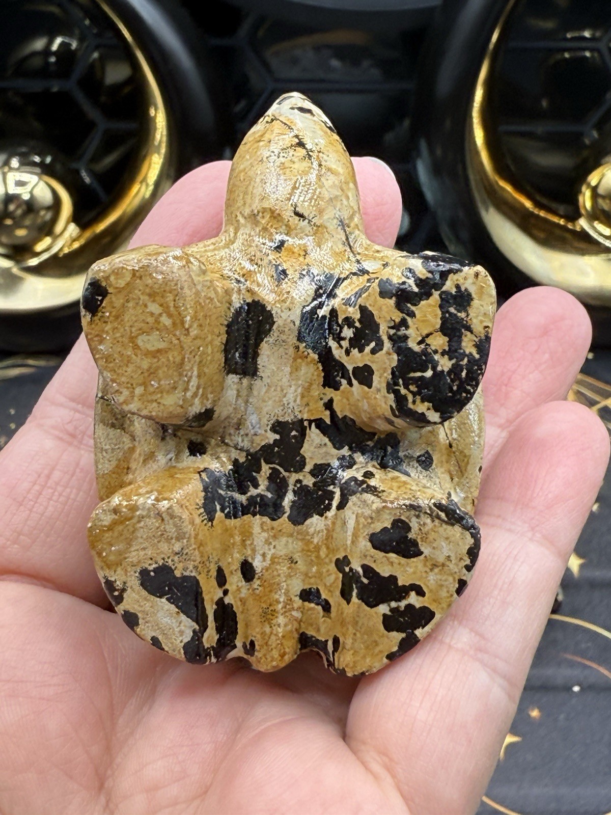 Natural Picture Jasper Land Turtle Tortoise Super Cute Carvings Free ship