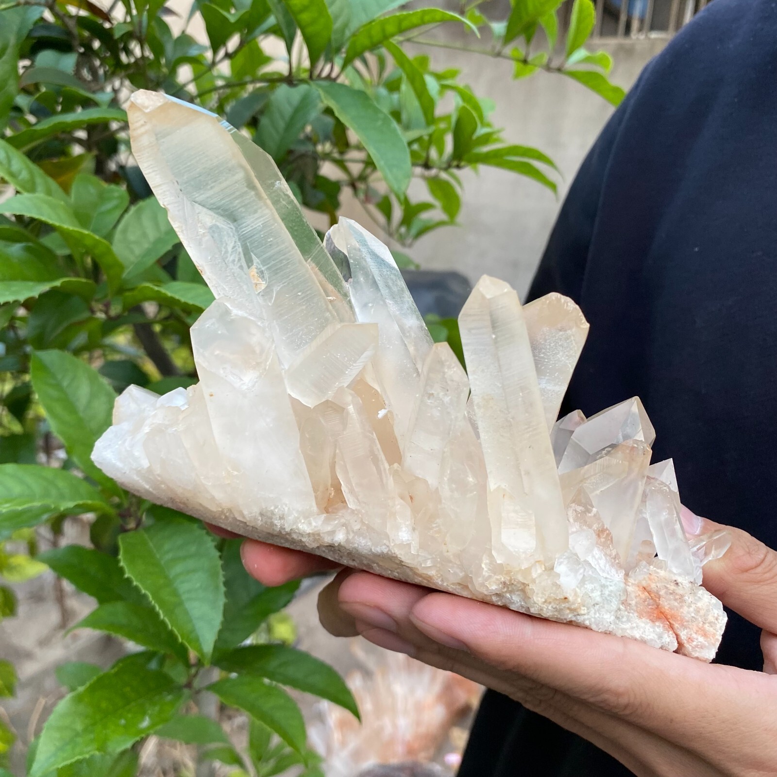 2lb Natural Clear White quart Crystal Cluster Raw Healing Specimen