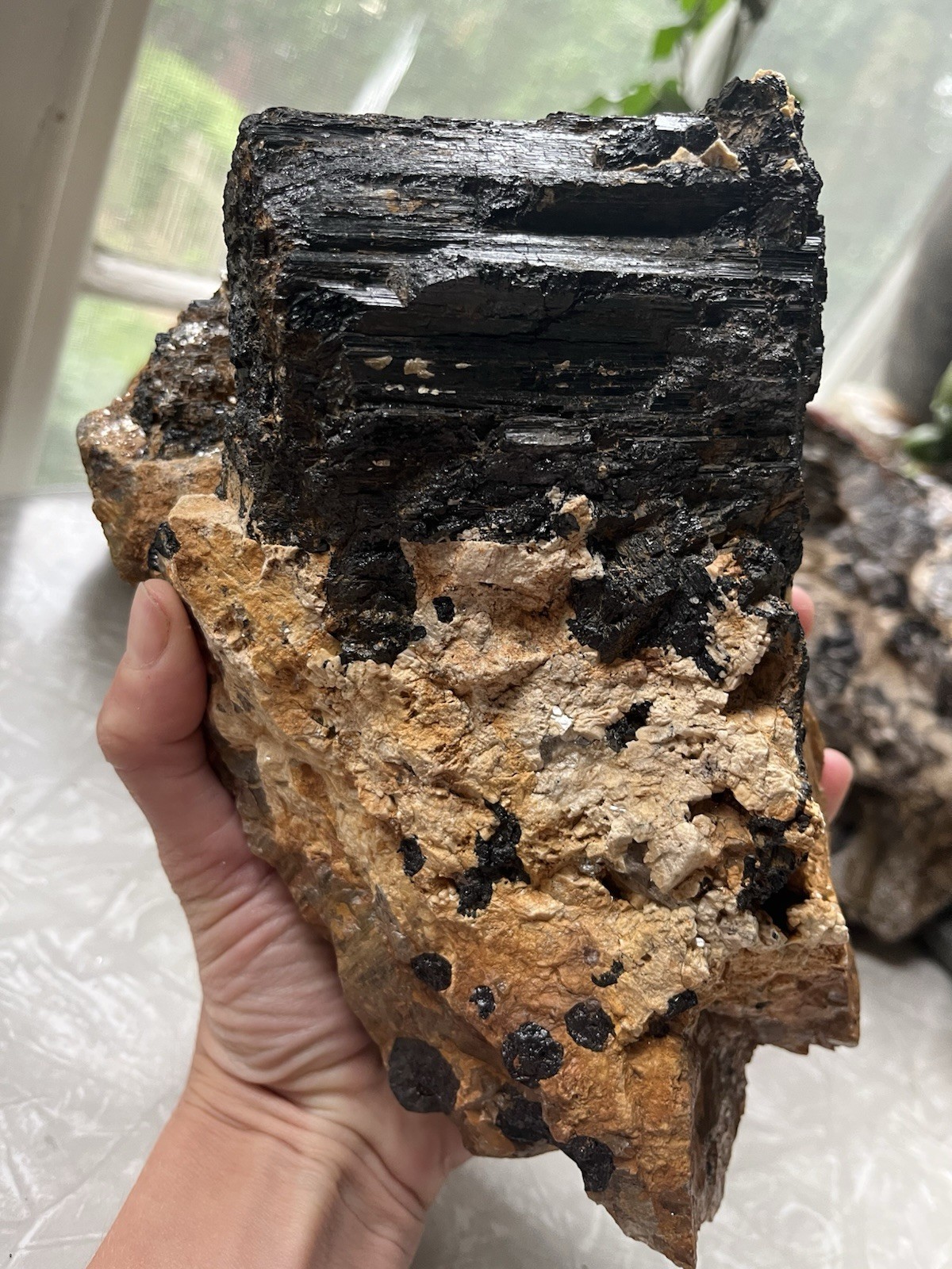 HUGE 5lb Black Tourmaline Schorl Crystal Maine USA Locality Iron Oxidized Quartz