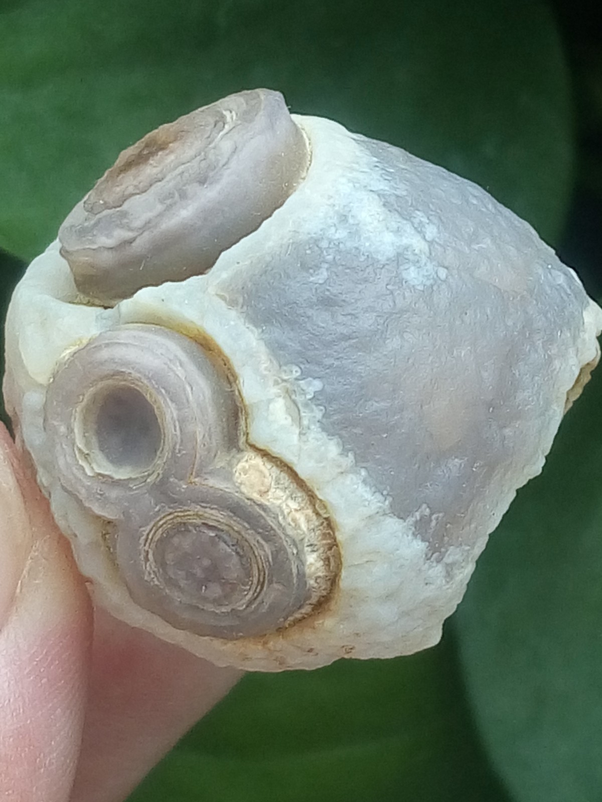 32mm Natural Gobi agate eye agate collection Landscape stone