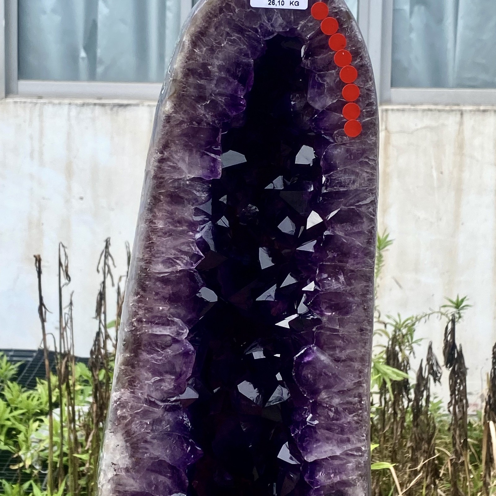 57LB Large Natural Amethyst Geode Cathedral Crystal Cluster Specimen Healing