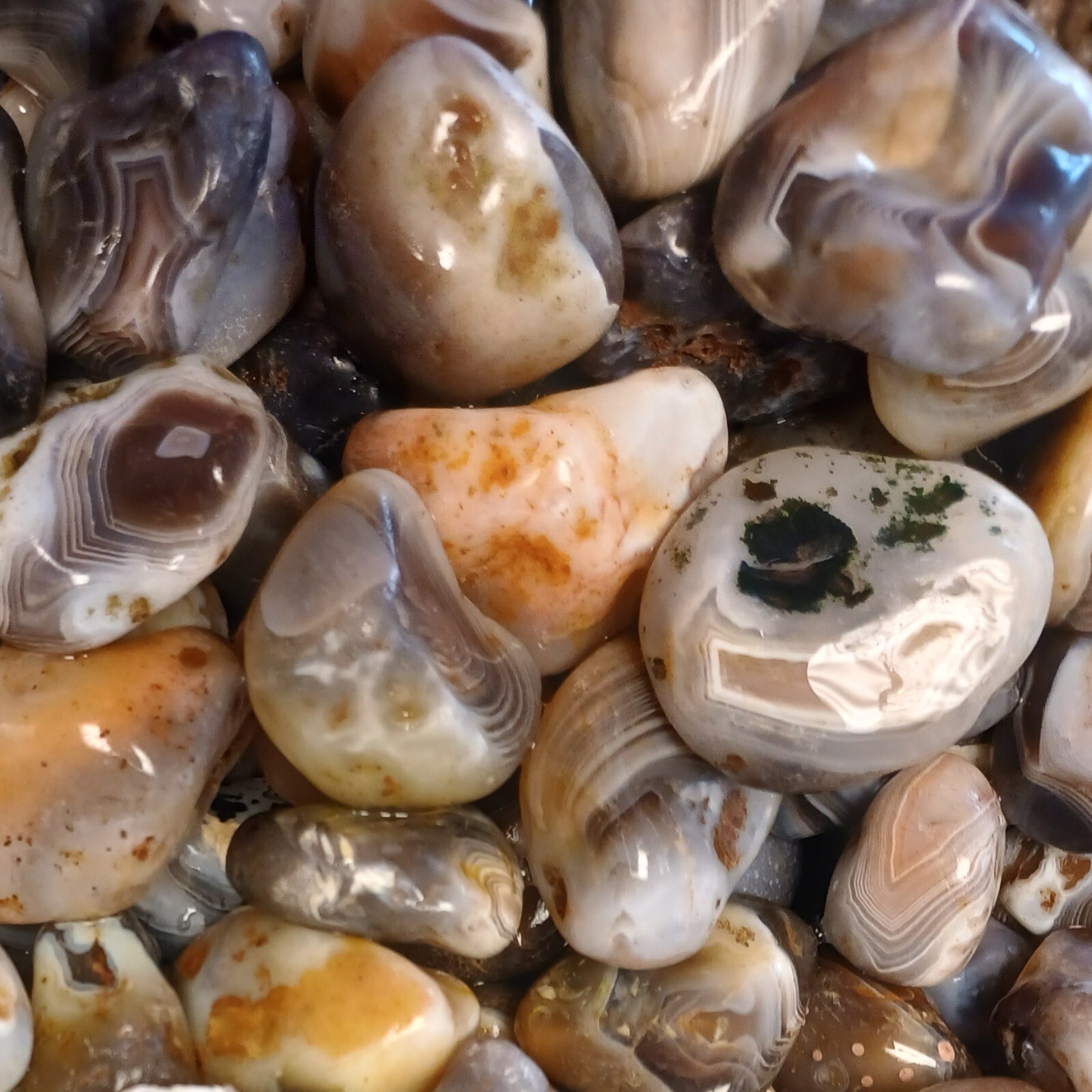 Botswana Agate rough 1-2″ A+ pound lbs tumbling lapidary banding wholesale bulk