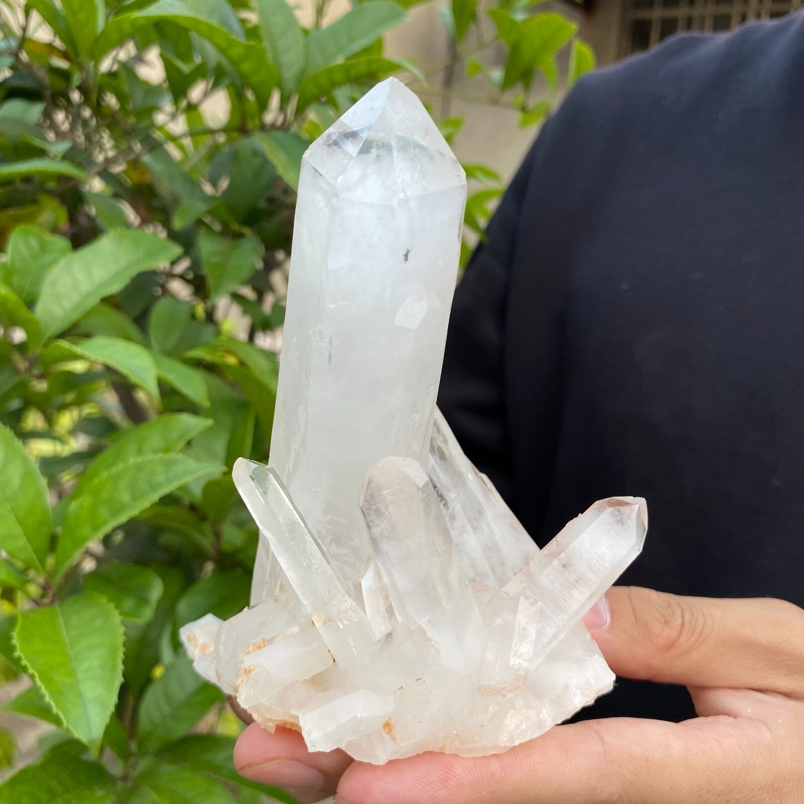 1.1lb Natural Clear White quart Crystal Cluster Raw Healing Specimen