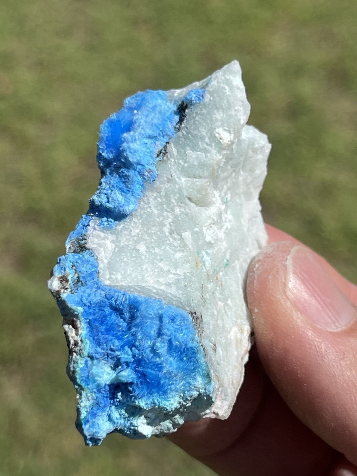 Rare Cyanotrichite Sky Blue Crystal Spray on Fluorite Matrix Qinglong Mine China