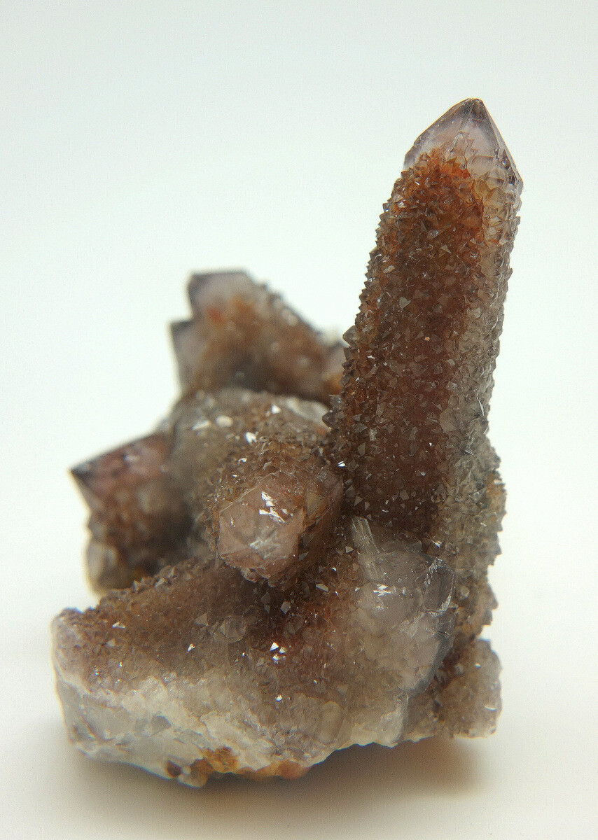 Dark Amethyst Spirit Cactus Quartz Crystal Cluster ~ South Africa