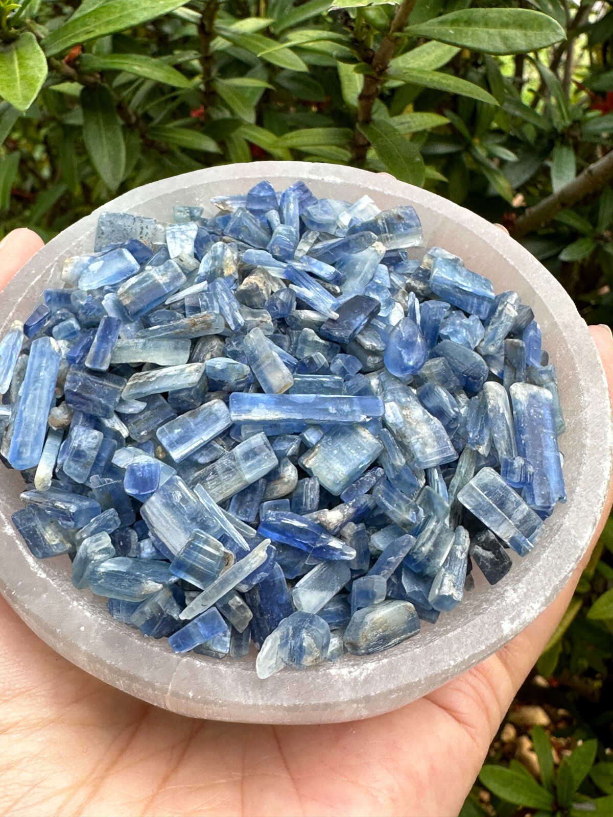 Grade A++ Blue Kyanite Semi Tumbled Gemstone Mini Chips 5-18 mm, Wholesale Bulk