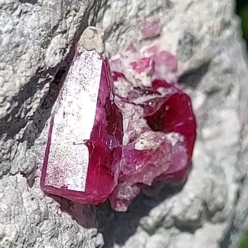 ULTRA GEM FACET GRADE SECTIONS LARGE RED BERYL / BIXBITE ON MATRIX UTAH, USA