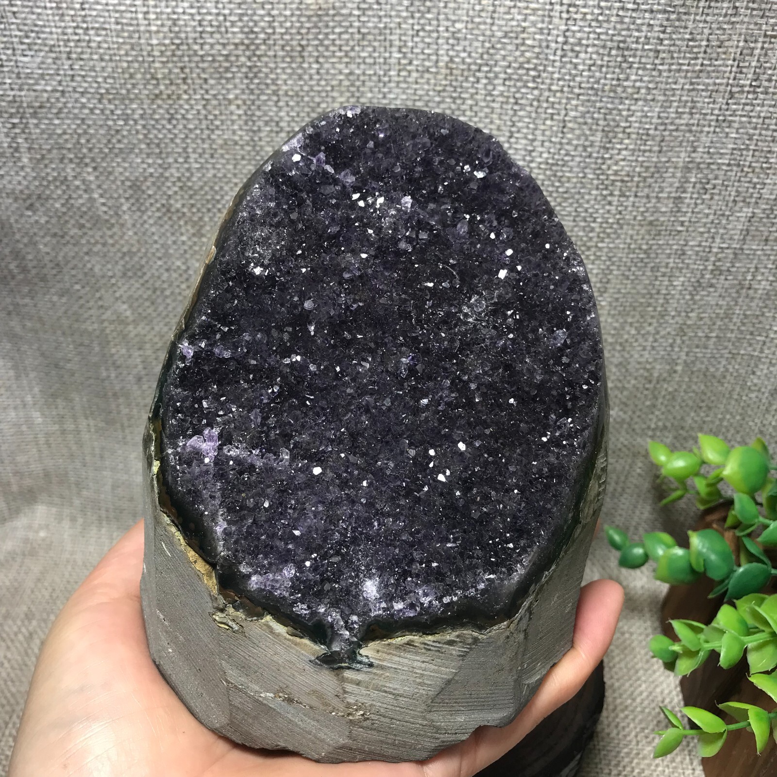 1281g Natural Amethyst Cluster Geodes Cut Base Quartz Crystal Healing 44