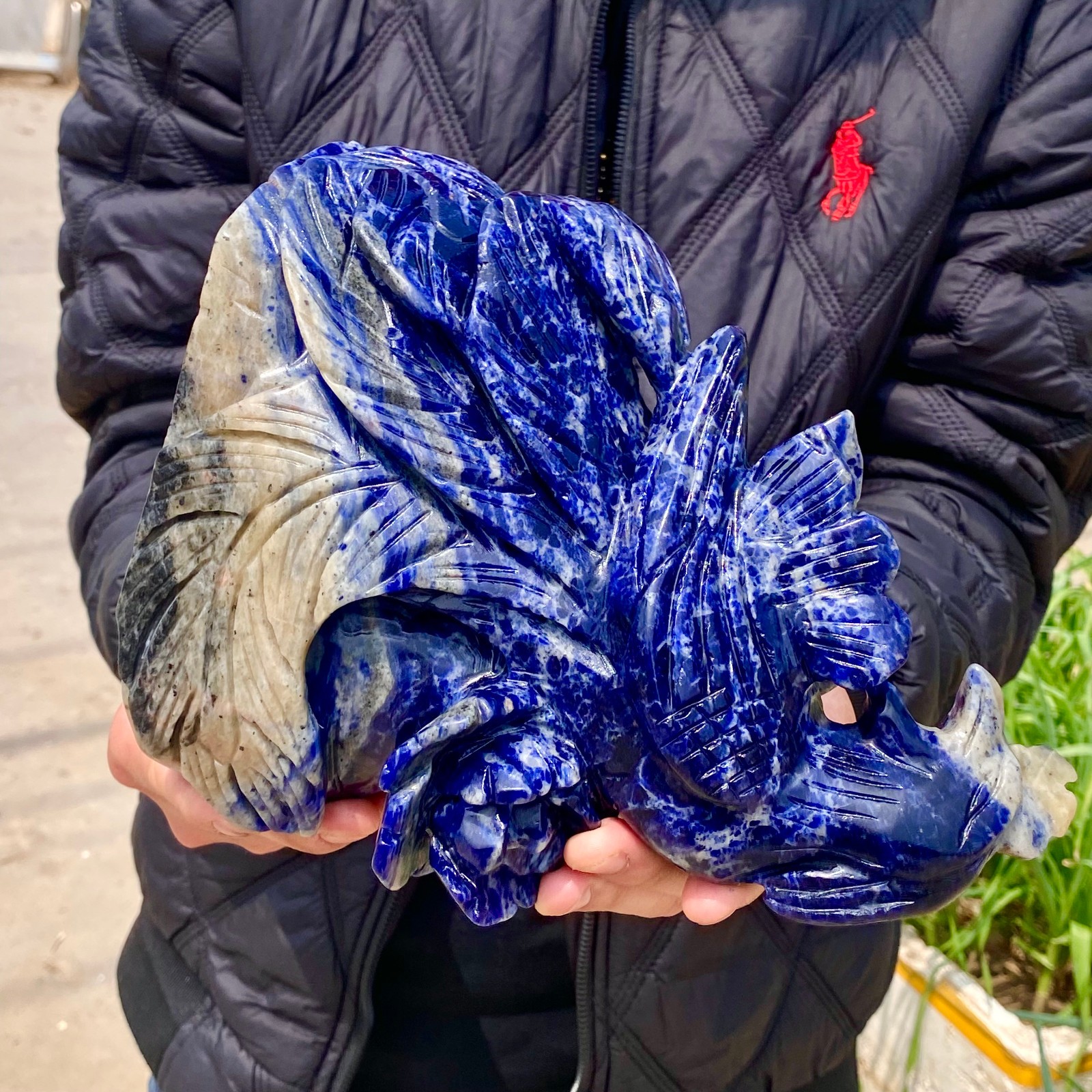 6.1LB Natural Blue Texture Crystal Carving Phoenix Rose Spiritual Energy