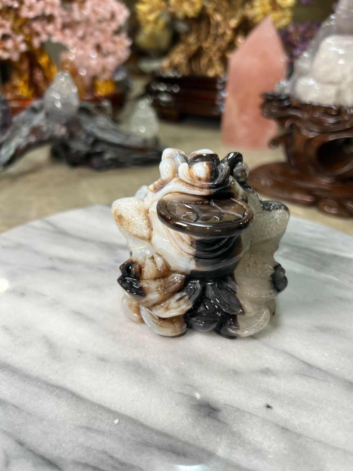 Agate Golden Money Toad Jin Chan with agate coin on sandalwood stand custom