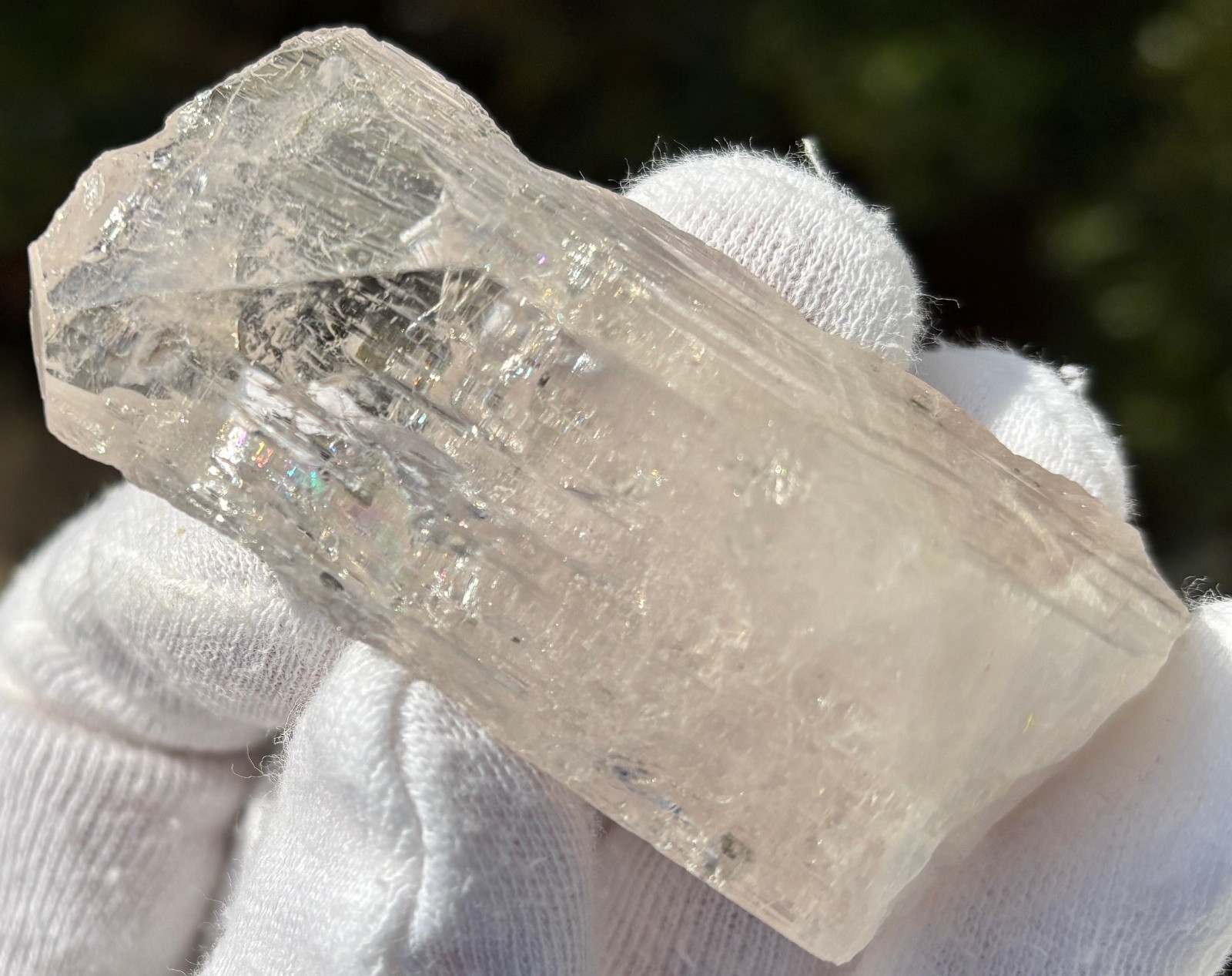 USA SALE *SEE VIDEO* 50g 2.5″ DANBURITE CRYSTAL SPECIMEN CLEAR CLARITY ETCHED
