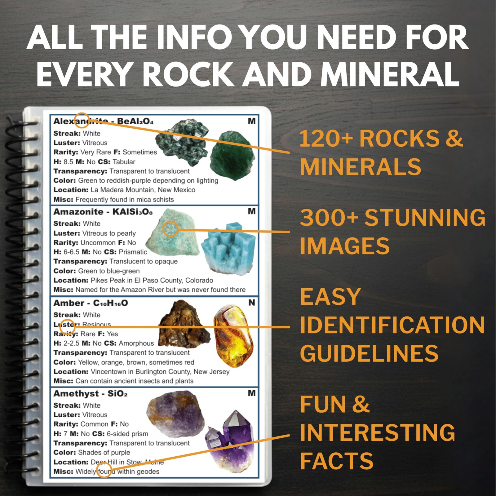 Rocks and Minerals of the United States Identification Field Guide | Thick…