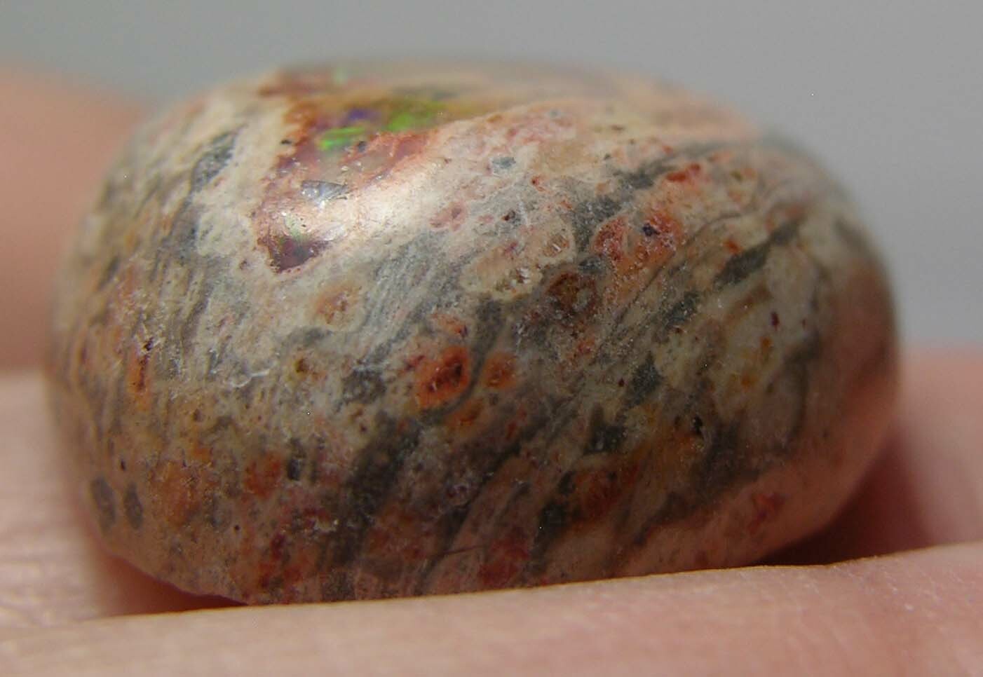 #18 Mexico 17.50ct 100% Natural Fire Opal in Matrix Cabochon Gemstone 3.45g 19mm