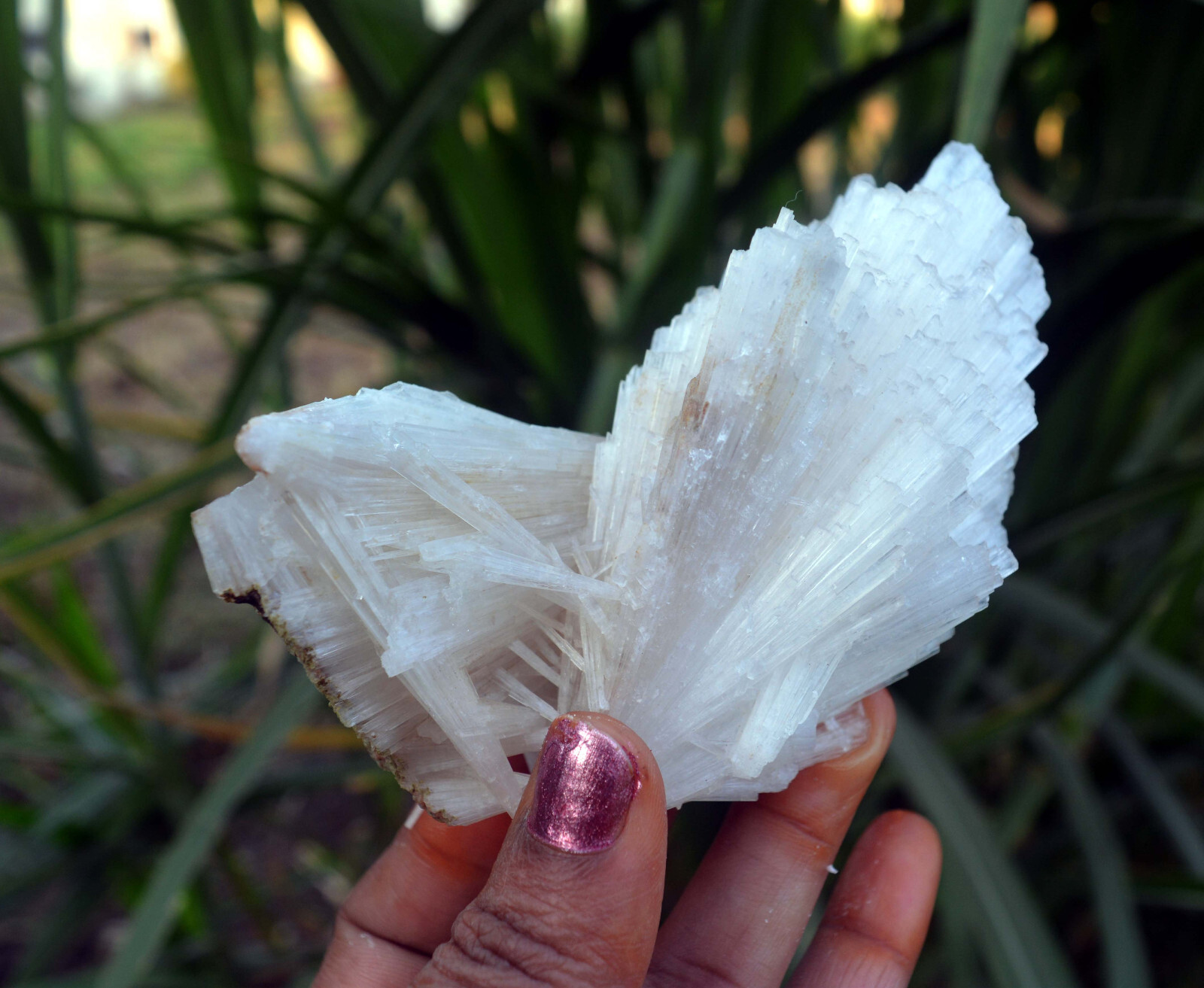 scolecite spray fromation minerals specimen j-6
