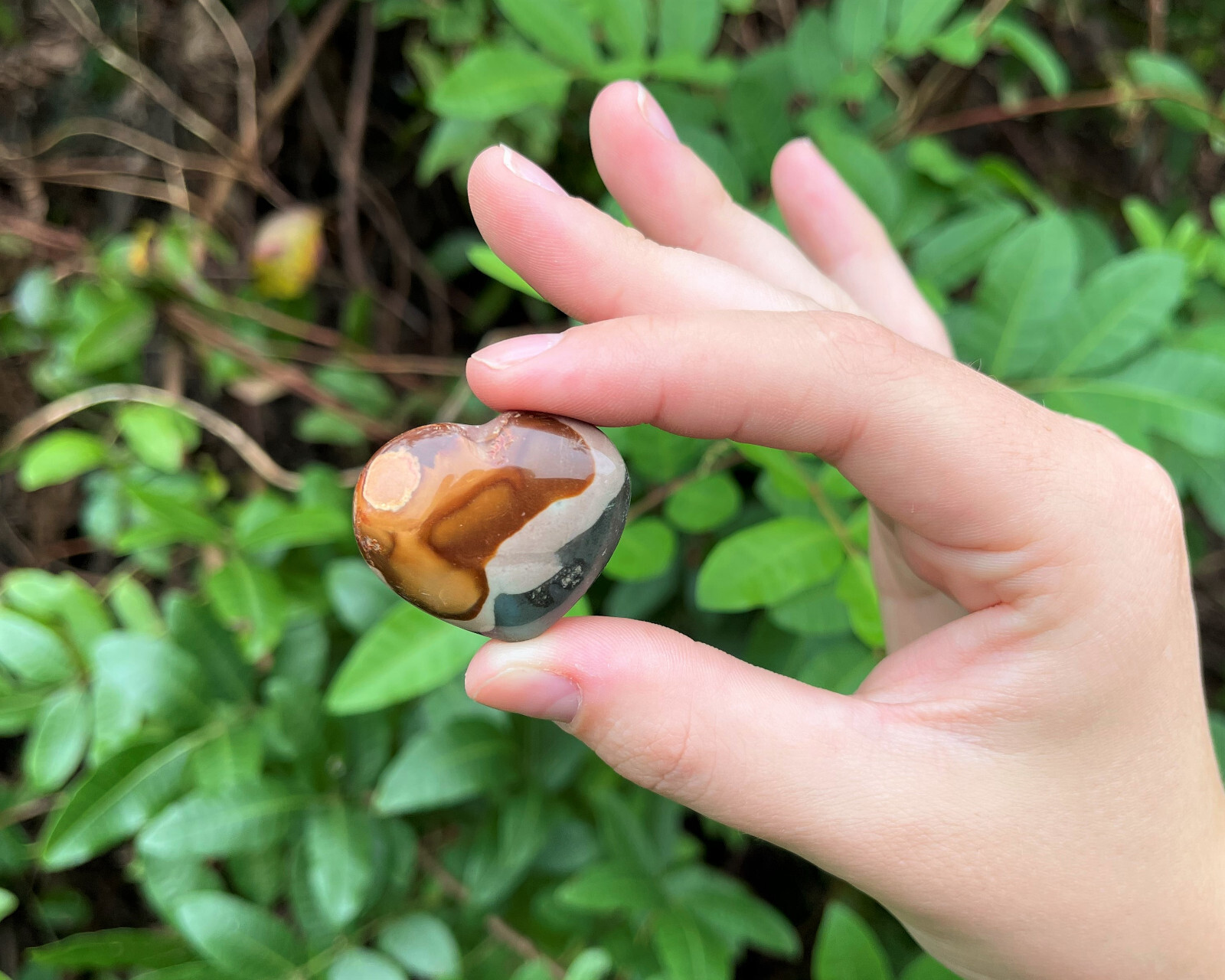 Polychrome Jasper Heart: 1.25″ (Crystal Heart, Stone Heart, Desert Jasper Heart)
