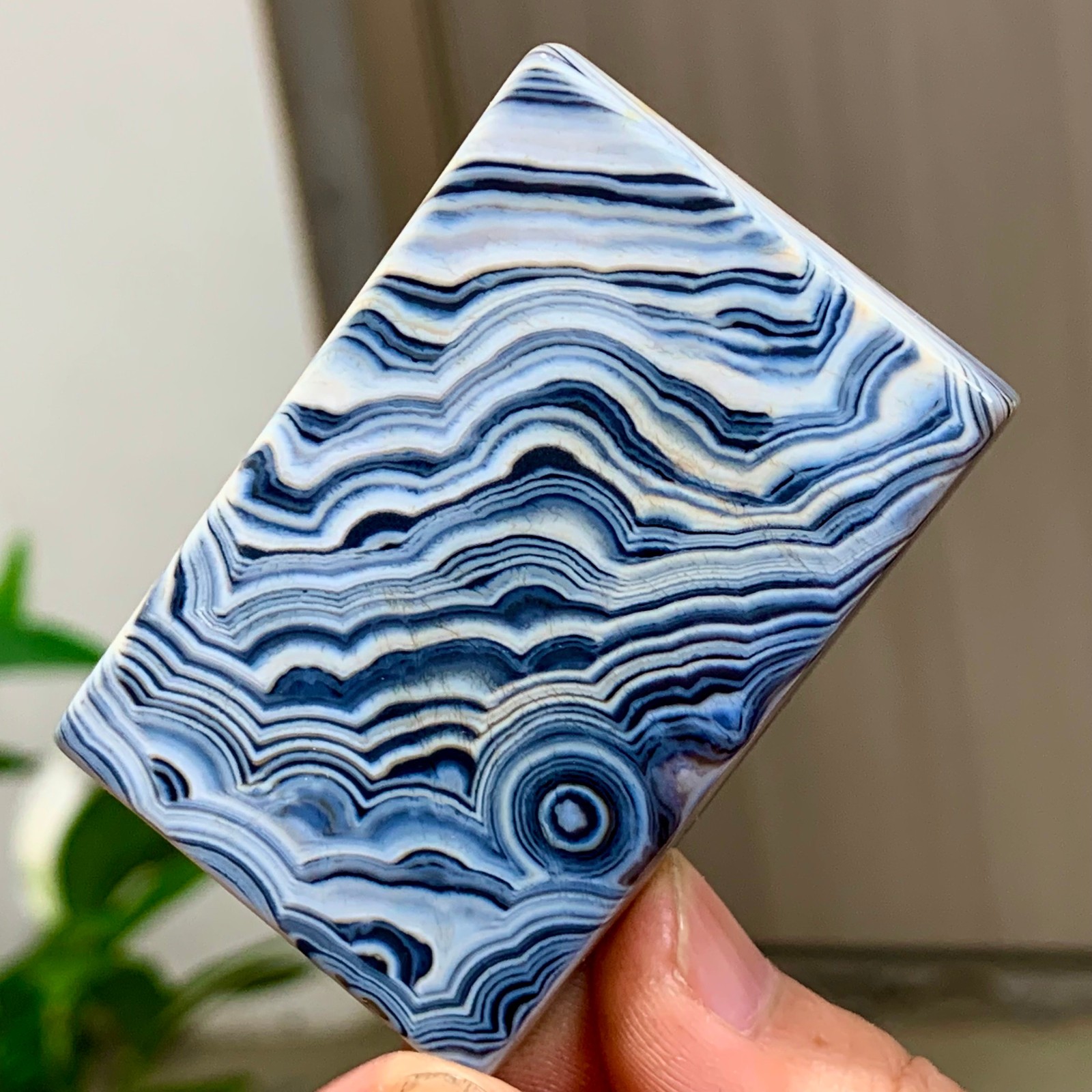 56g Natural Gobi Thousand Eyed Agate tumble palmstone Shape Reiki Chakra Healing