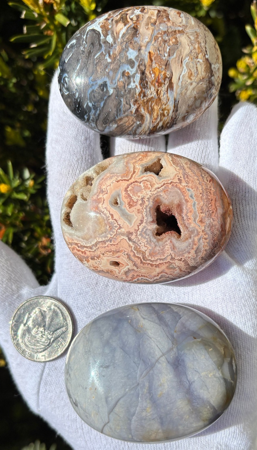 US SALE LOT PALM ROOT/CRAZY LACE AGATE/PURPLE BLUE CHALCEDONY PALM STONES STONE