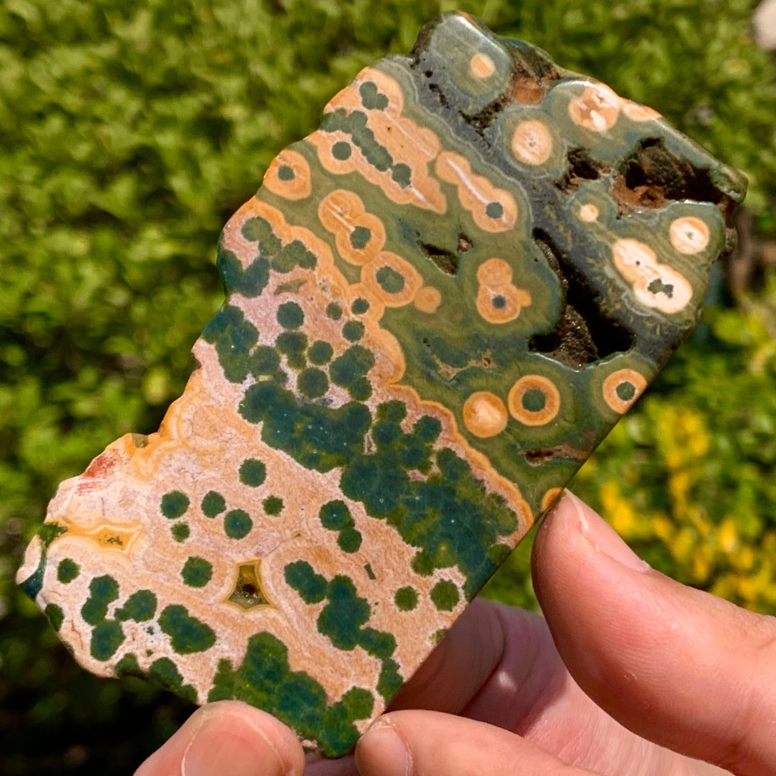 82G Natural Ocean Jasper Crystal SliceLarge Specimen Healing- Museum