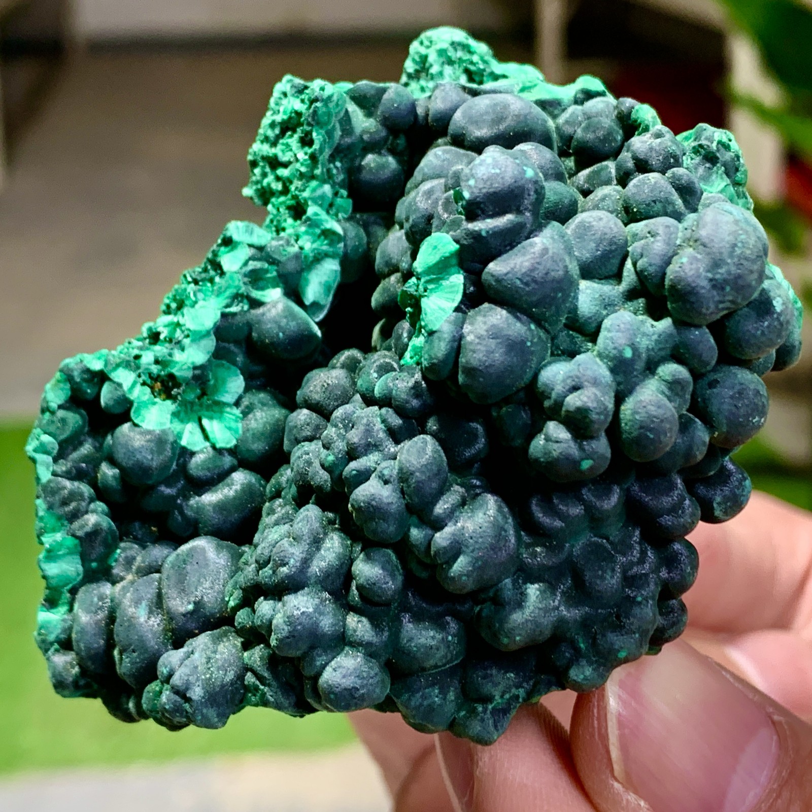 205G Natural glossy malachite cat eye transparent cluster rough mineral Sample