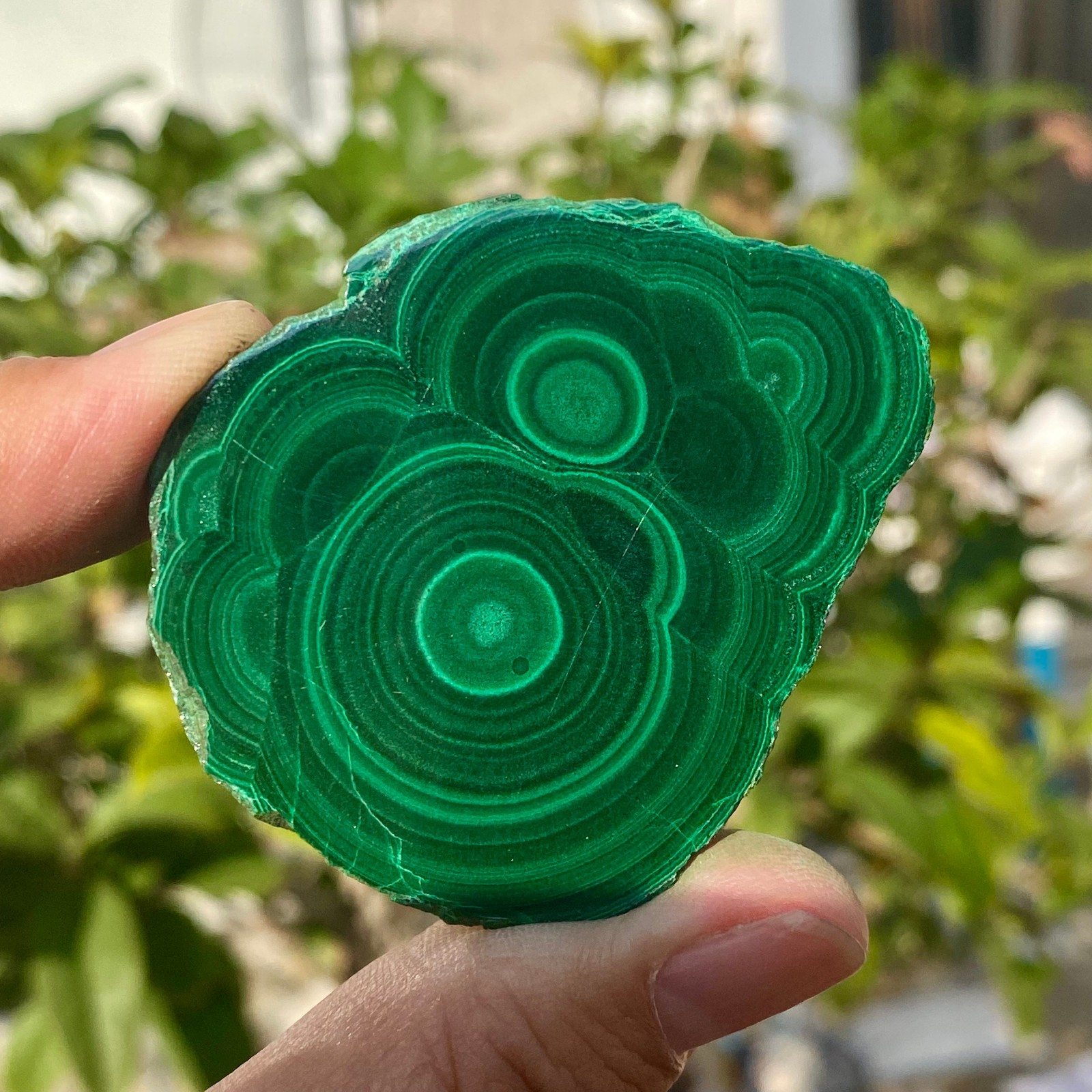 45G Natural High Quality Malachite Flakes luster Gem Crystal Mineral Specimen.