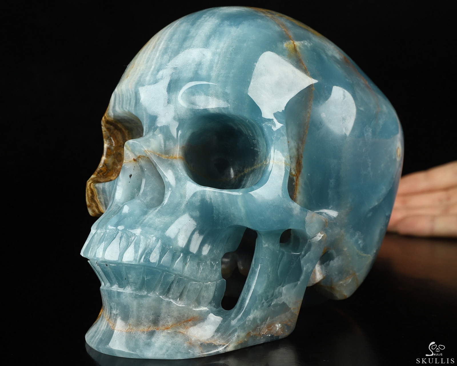 Super Realistic! Lifesized 7.0″ Blue Onyx Hand Carved Crystal Skull, Healing