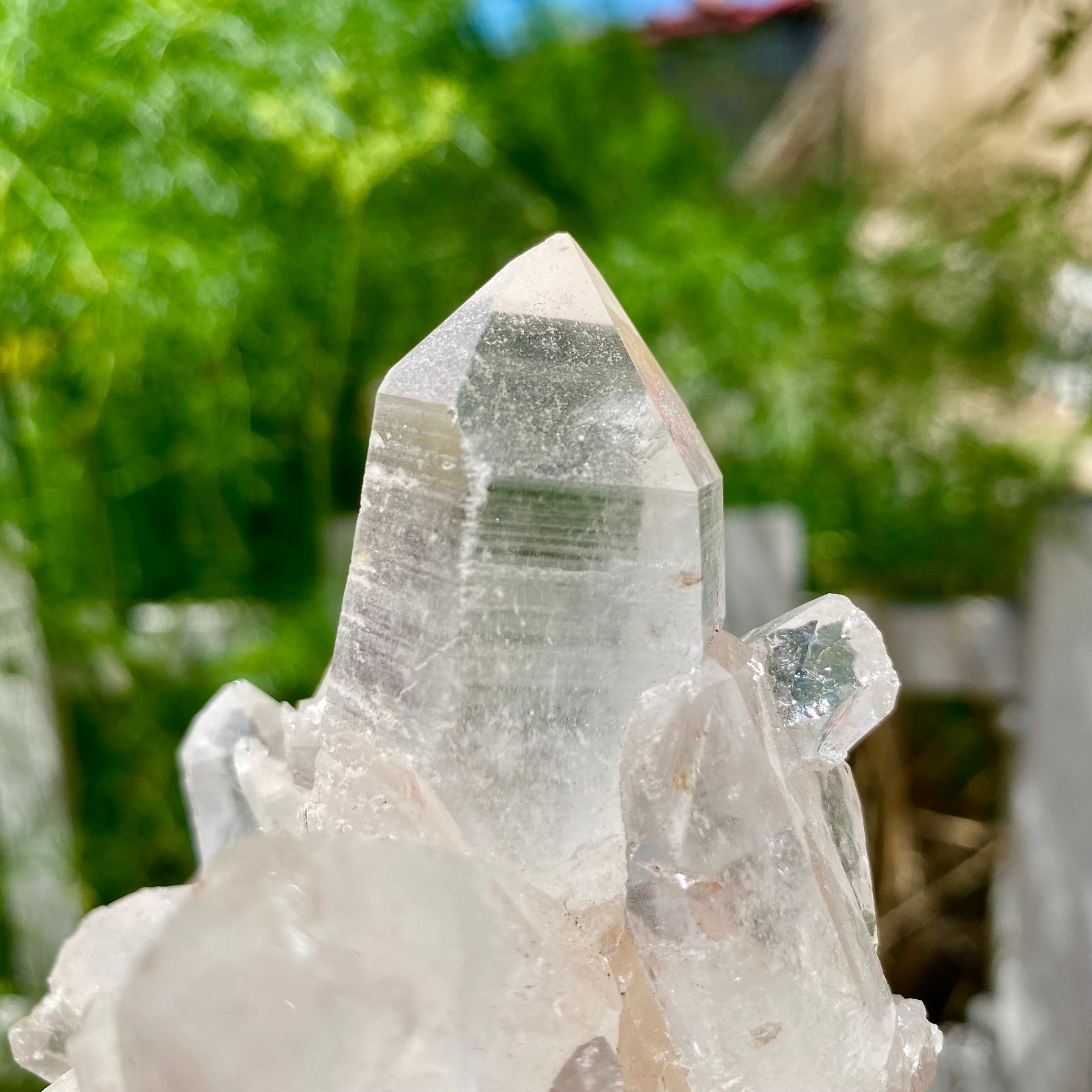 217G A+++Large Natural white Crystal Himalayan quartz cluster /mineralsls