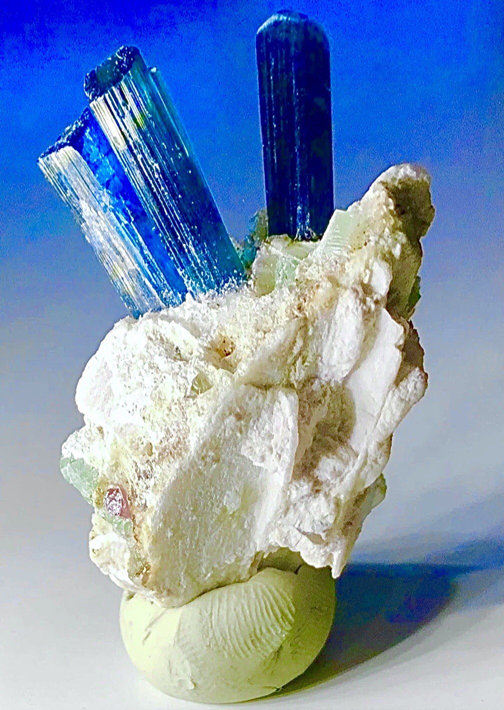 Neon Blue Green Tourmaline On Quartz Crystal Raw Rough Specimen Cluster Matrix