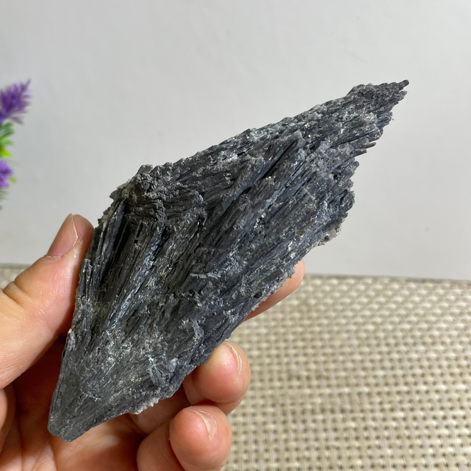 123g Black Kyanite Blades Fans Premium Quality Mineral Specimen rough