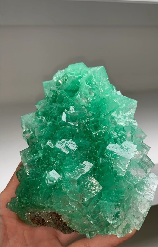 Very High-Grade Green Halite with Exceptional Luster