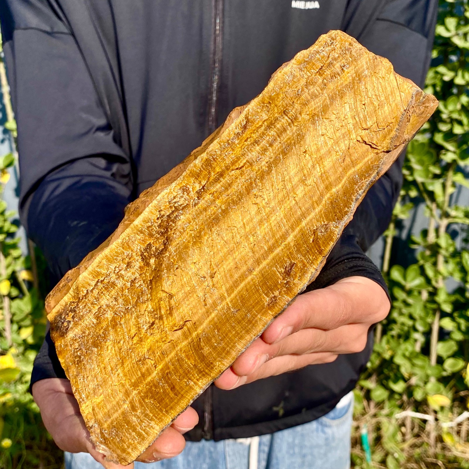 1.3LB Natural Tiger Eye Stone slice Quartz Crystal Polished Specimen healing