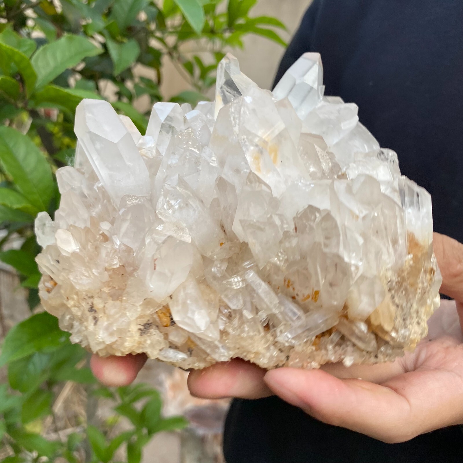 2.6lb Natural Clear White quart Crystal Cluster Raw Healing Specimen